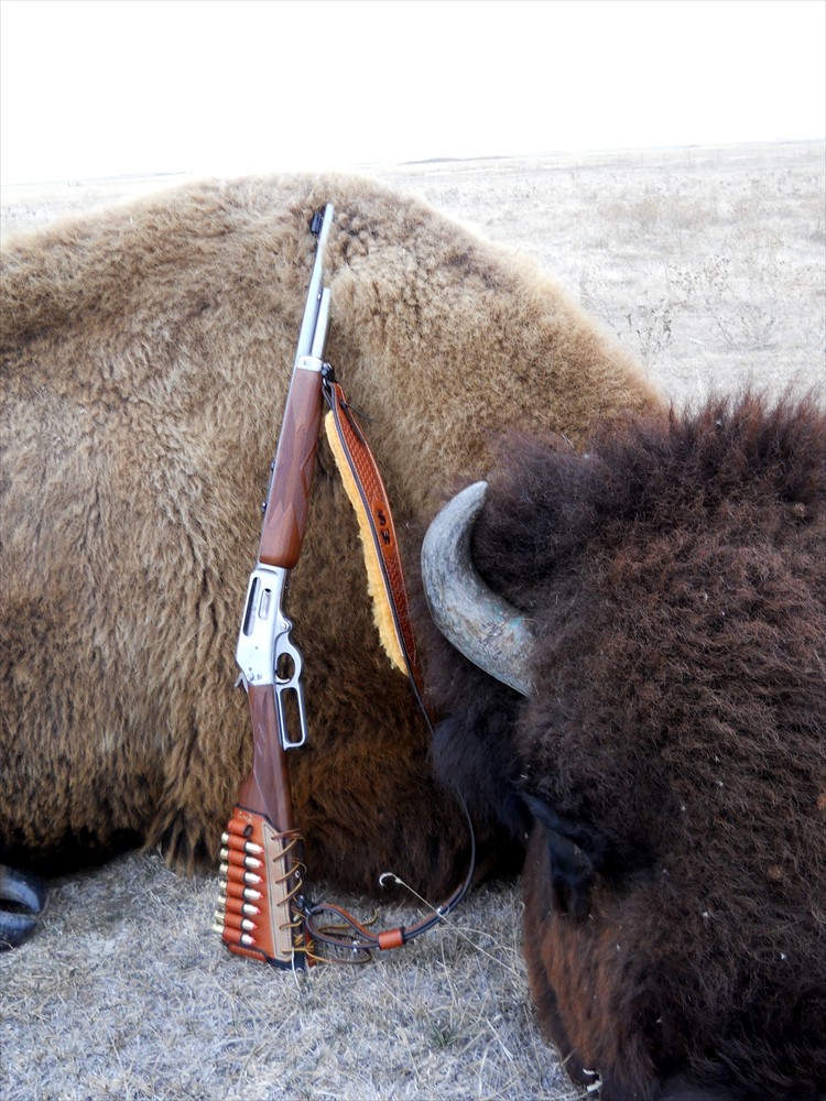 Steven's Buffalo