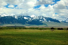 My hunting grounds/front yard